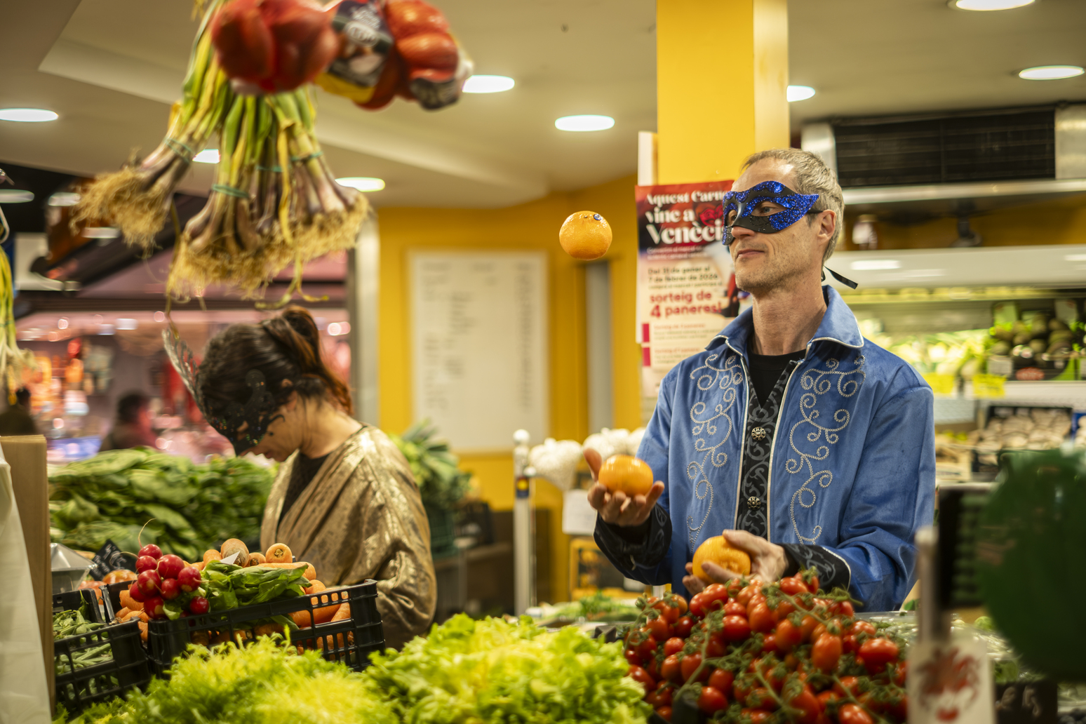 _DSF6368 (2026-02-06T14_22_58.714)