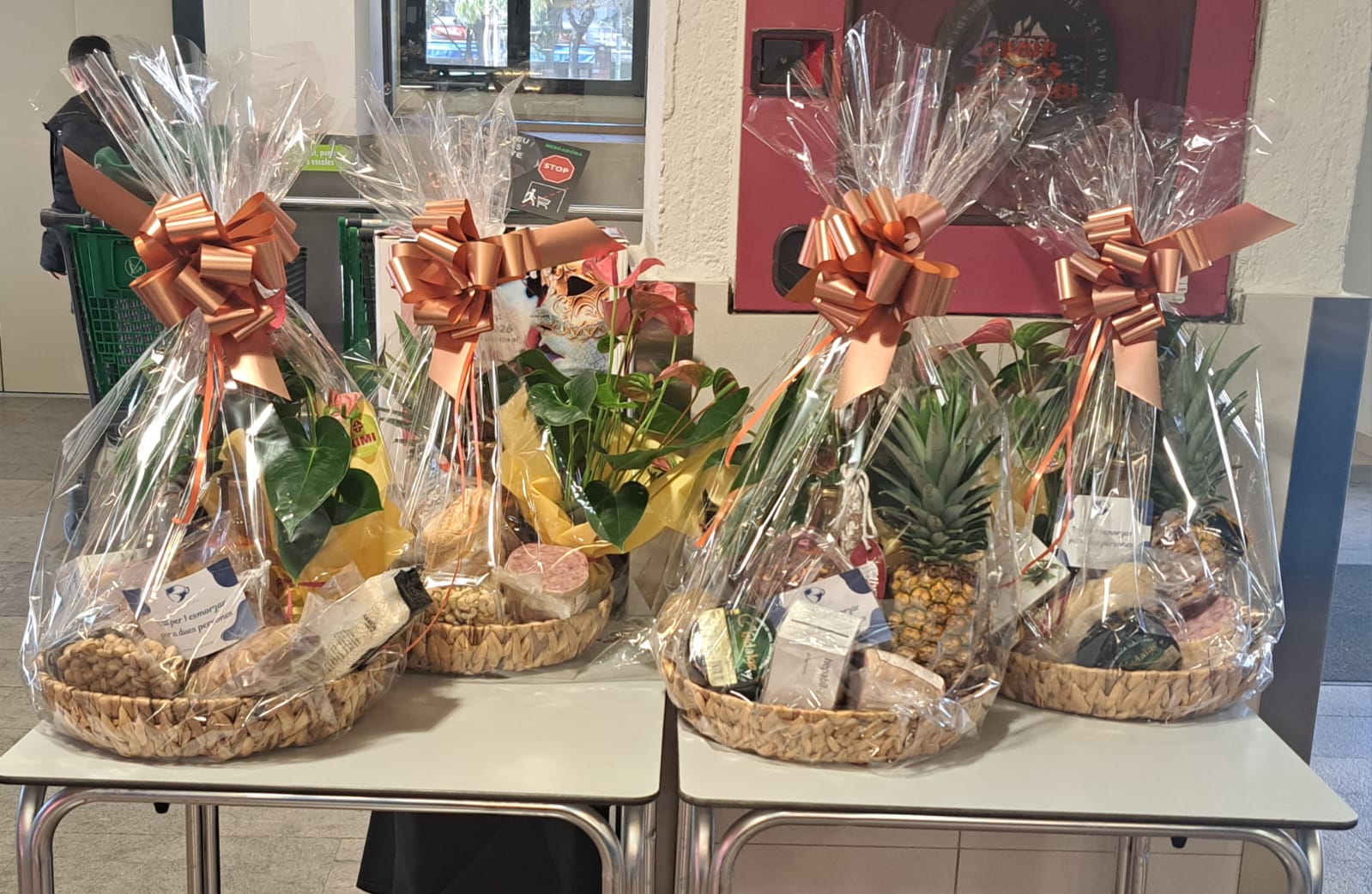 WhatsApp Image 2026-02-09 at 11.40.48