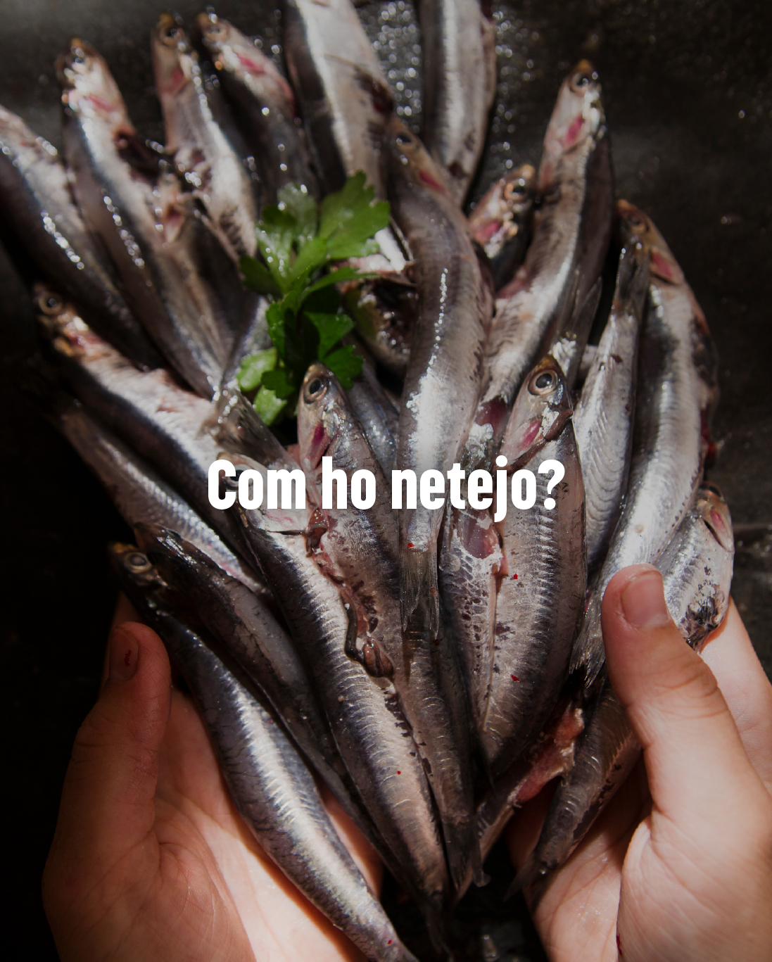 Post 1080x1350_3